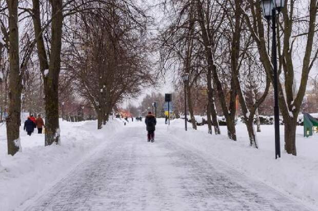 Принципов ЗОЖ придерживается всего 9% взрослых тамбовчан