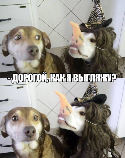 1452505328_fotomemy-10