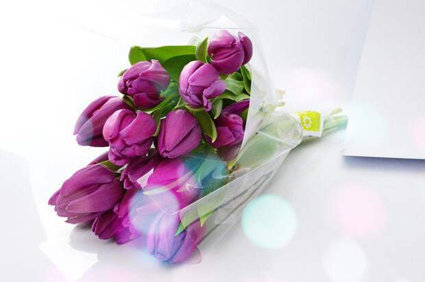 Цветы. Фото: pixabay.com