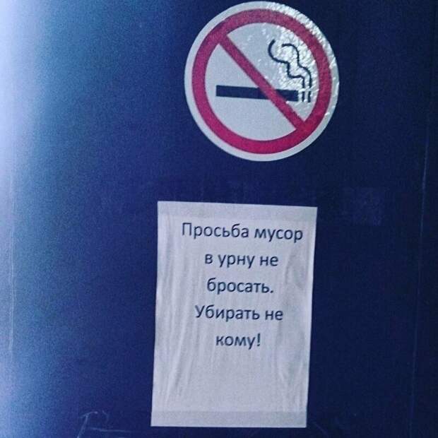 Можно съесть Можно съесть