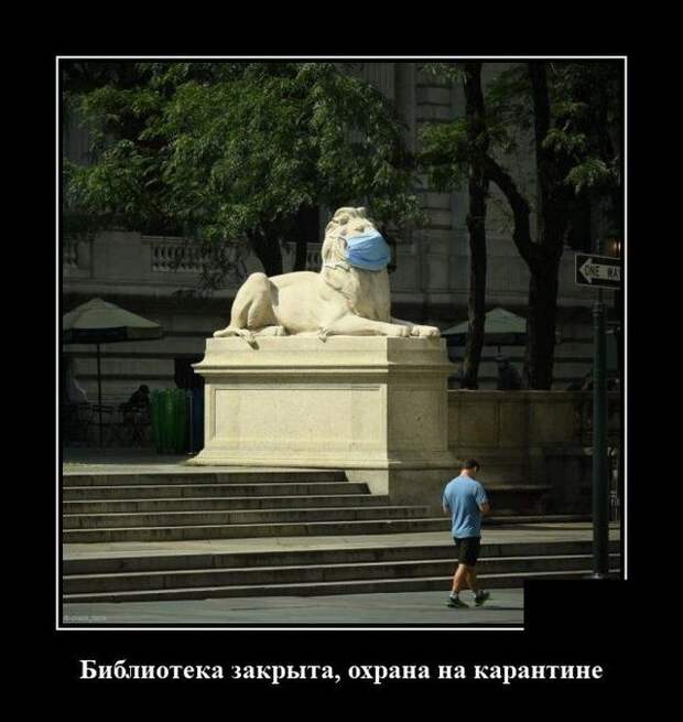 demotivatory-demotivator-smeshnye-demotivatory-demotivator-so-smyslom
