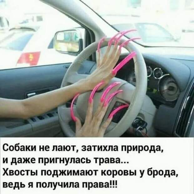 Убойные картинки с надписями (вторник)