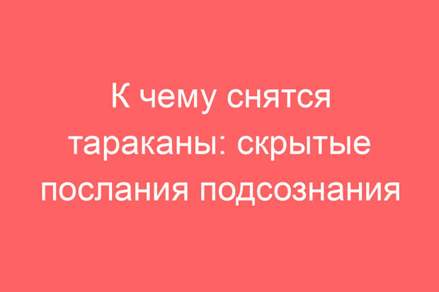 К чему снятся тараканы: скрытые послания подсознания