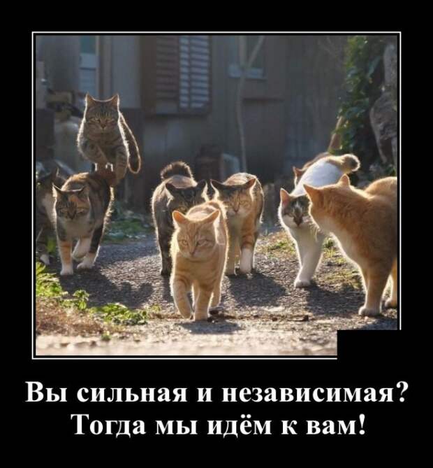 www.vsyako.net