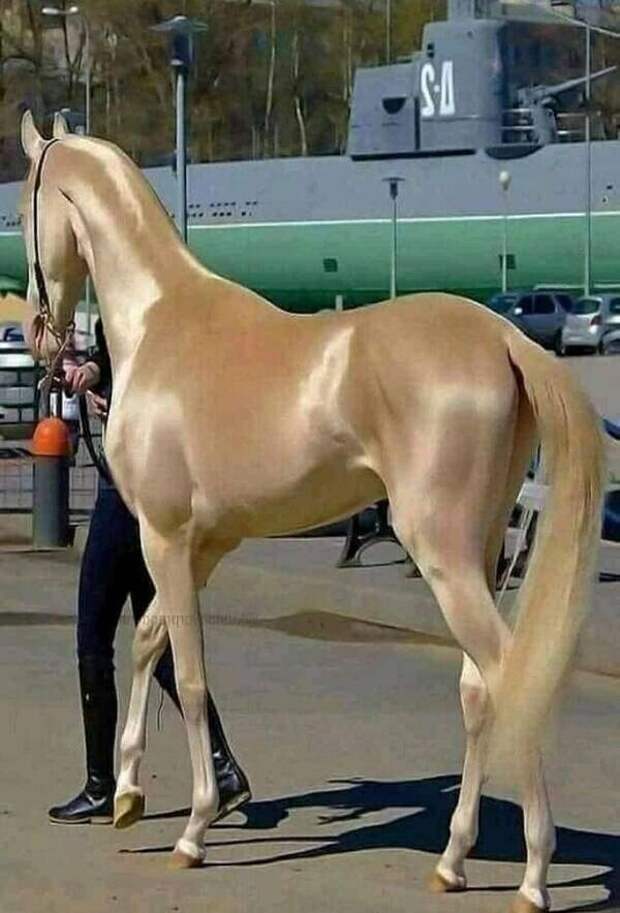 Немного приятных фотографий для визуального удовольствия