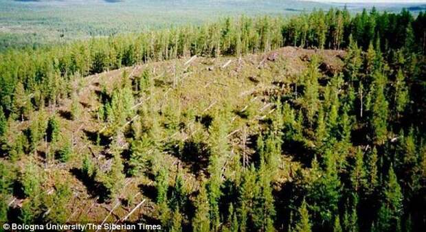 Российские ученые доказали: озеро Чеко не является кратером Тунгусского метеорита Озеро Чеко, Тунгусский метеорит, исследование, кратер