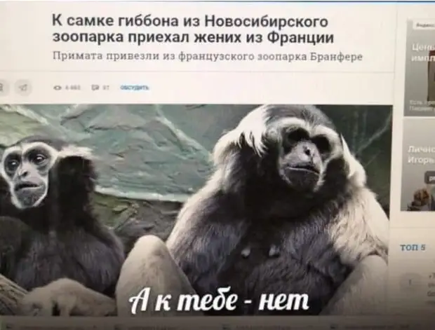 Я не понимаю фразу : * Устал как собака ! * . Собака моей жены спит , ест , гуляет . Я бы сам от такой жизни не отказался ! канделябр, нихрена, чтото, пошло, только, выглядит, Антресоли, сегодня, потому, управления, понятно, лежит, Кухня, Ближний, Восток, постоянно, центре, молоток, Рабинович, воняет