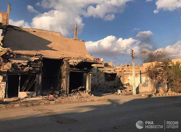 Разрушенные в результате боевых действий дома в жилой части города Пальмира в сирийской провинции Хомс