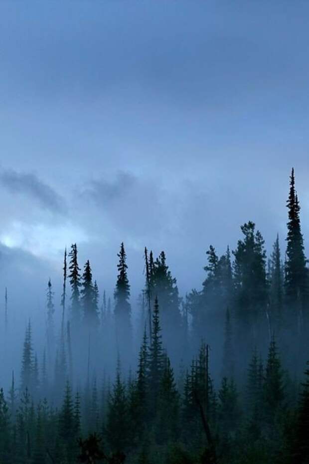 Если внутри у тебя всё в порядке, то и снаружи всё встанет на свои места