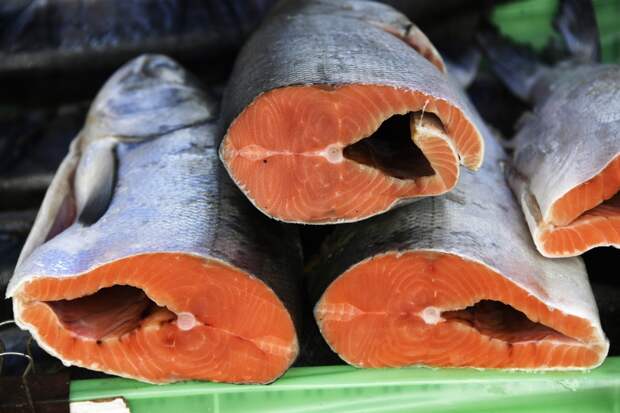 В России признали неизбежное снижение вылова лососевых