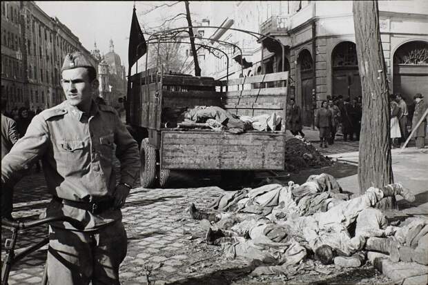 Картинки по запросу венгерское восстание 1956 фото