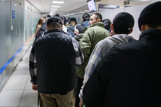 Раскрыты детали эксперимента по найму иностранных рабочих в России