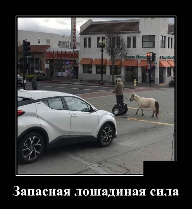 Демотиваторы (30 фото)