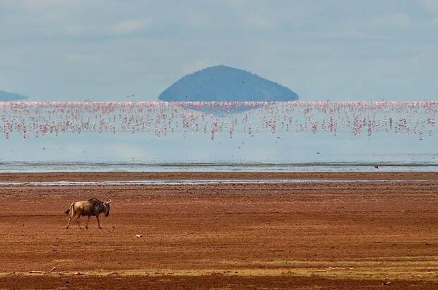 554928_10151445797214775_125590535_n