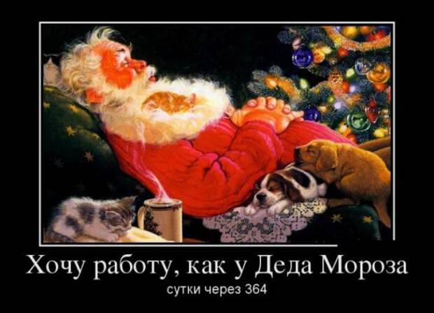 Немного новых демотиваторов