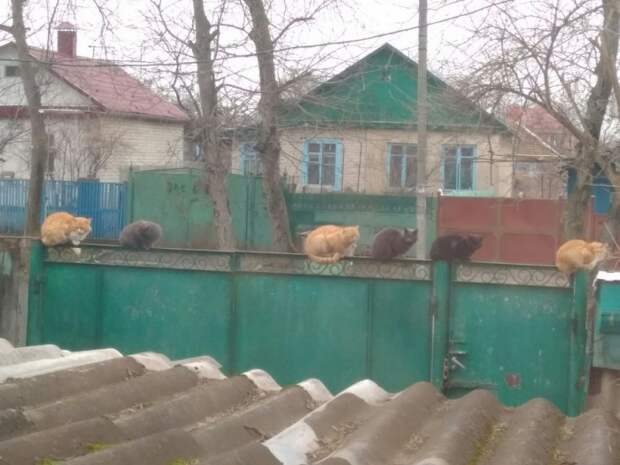 Фотоподборка