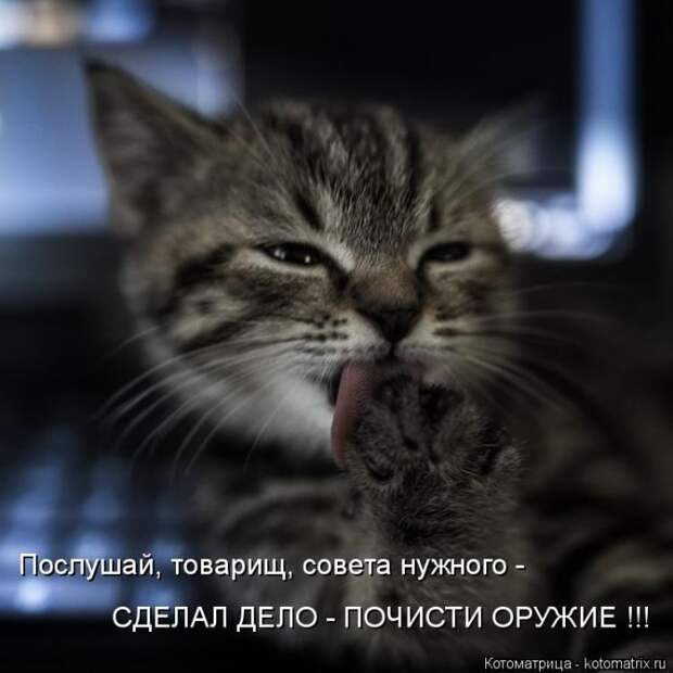 Самые лучшие котоматрицы прошедшей недели Самые лучшие котоматрицы прошедшей недели