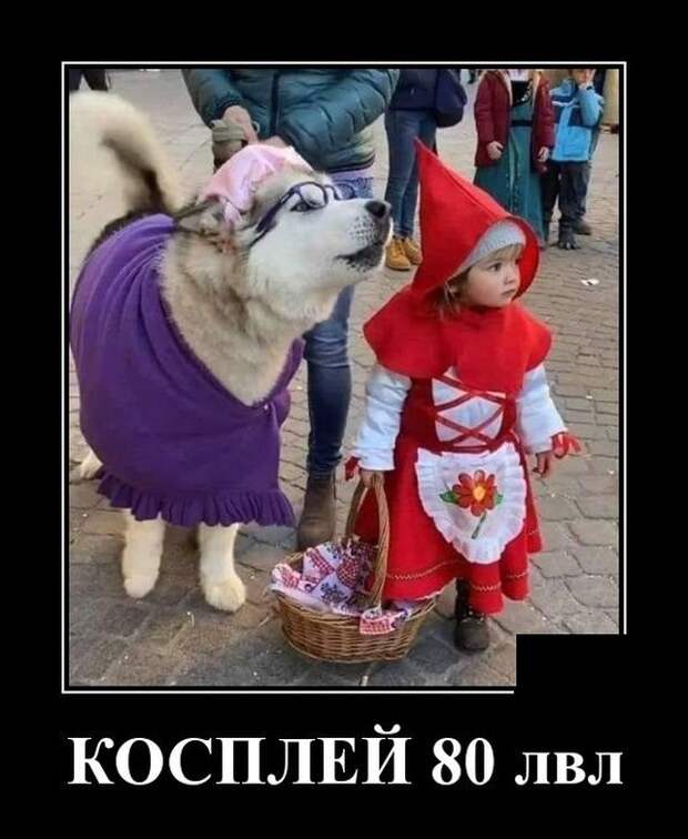 demotivatory-demotivator-smeshnye-demotivatory-demotivator-so-smyslom