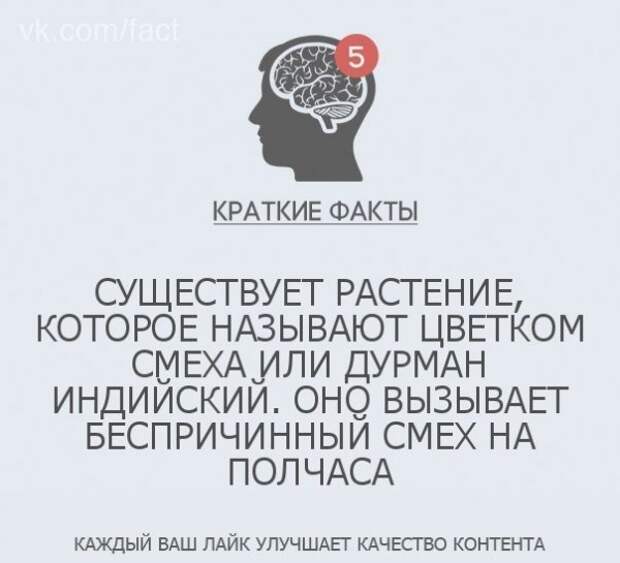 Краткие факты