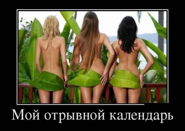 яя123