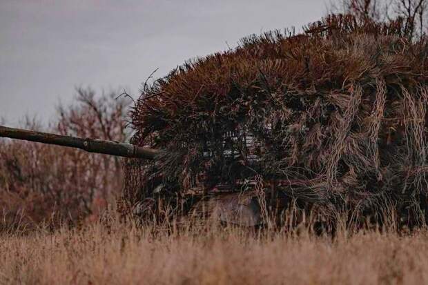 В ВСУ стали копировать «мохнатую» защиту, применяемую на российских танках
