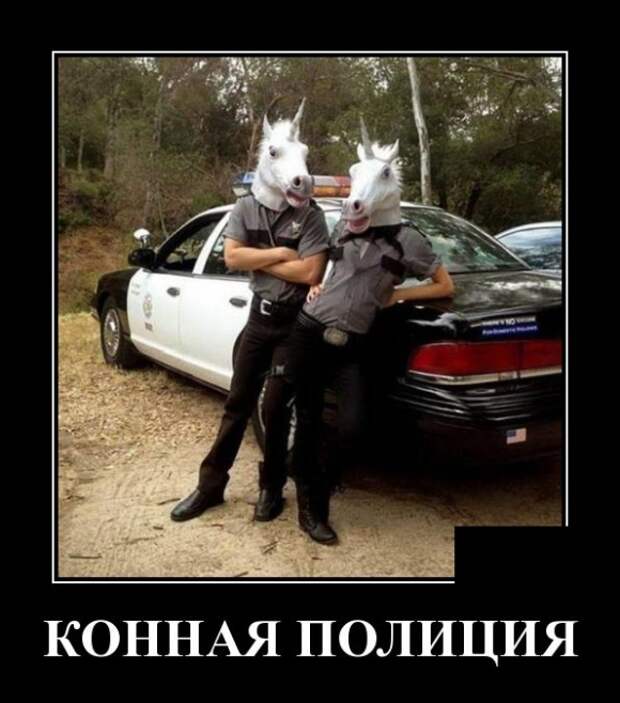 Демотиваторы (30 фото)