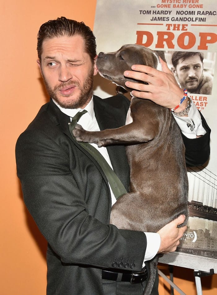 https://sobakibalabaki.com/wp-content/uploads/2017/09/love-for-dogs-tom-hardy-59bf7ec159b3e__700.jpg