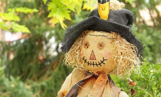 Про Чучело и Ворону