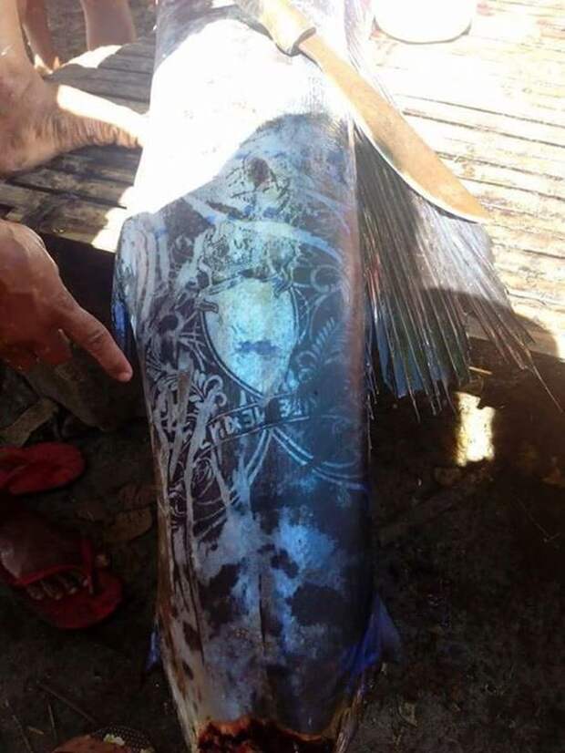 Рыбаки выловили «татуированную» рыбу и никто не знает, откуда взялись эти рисунки