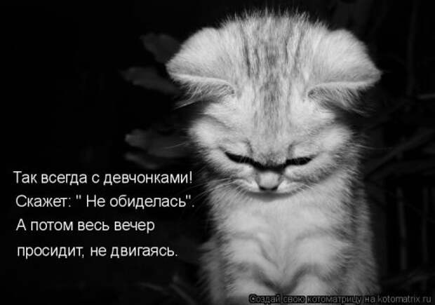 Свежая котоматрица на Бугаге (33 фото)