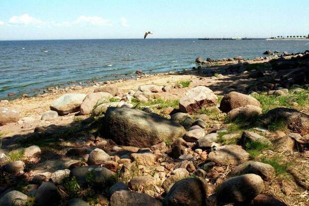 Невзоров* лишился роскошного особняка у Финского залива