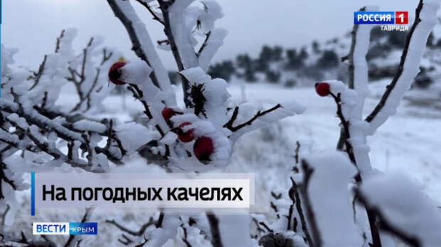 Уходящий год стал годом экстремальных природных явлений