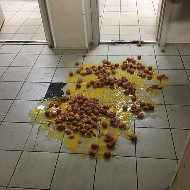 И сам не ам, и другим не дам бывает же такое, всячина, жизнь, разбил, рукожопы, упало, юмор