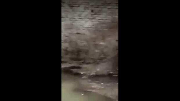 Video: VivaCut_video_1733222117875_HD.mp4