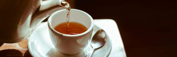 Россиянин в восторге от чайных традиций Казахстана