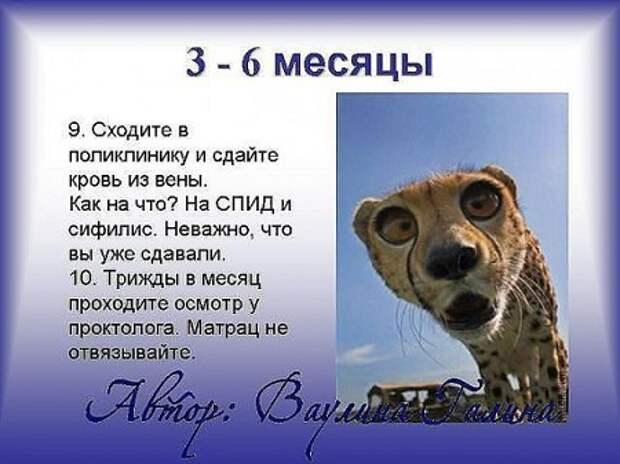 3-6 месяцы беременности