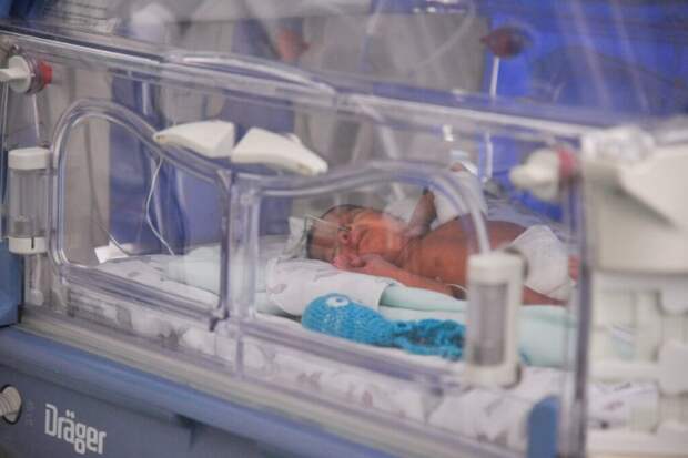 В реанимации находятся шестеро младенцев из роддома в Новокузнецке