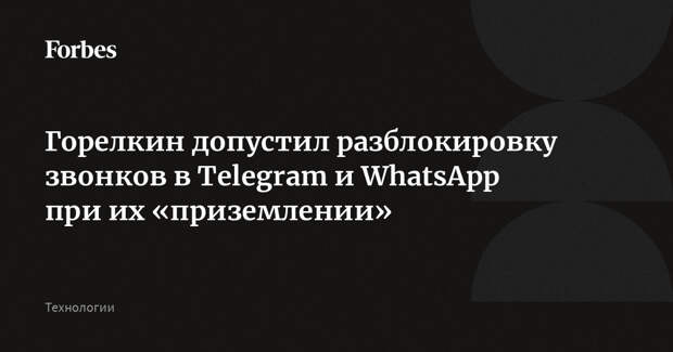 Горелкин допустил разблокировку звонков в Telegram и WhatsApp при их «приземлении»