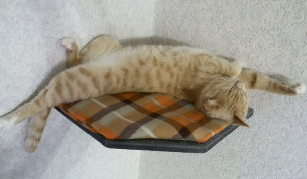 eAyrlSnpP6w (700x409, 237Kb)