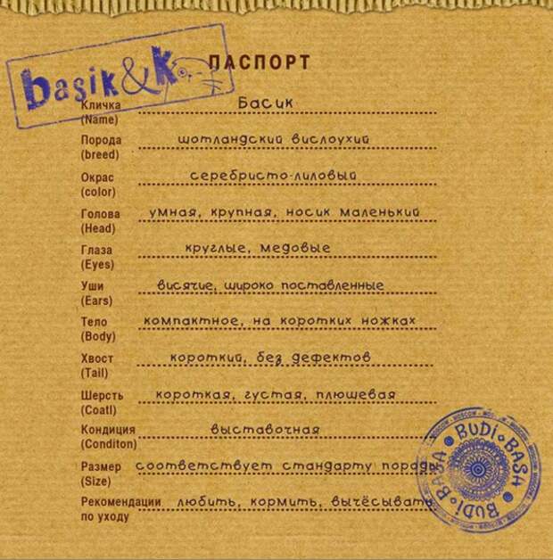 Кот Басик. Мягкий. Милый. Твой.