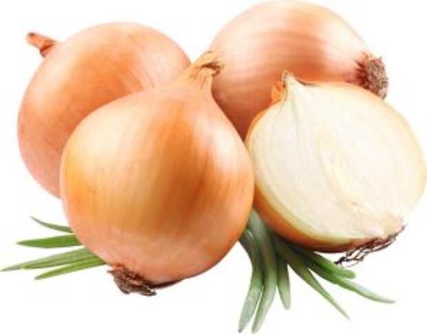 лук