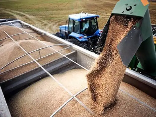 В Россию будут ввозить зерно и овощи из подконтрольных РФ регионов Украины