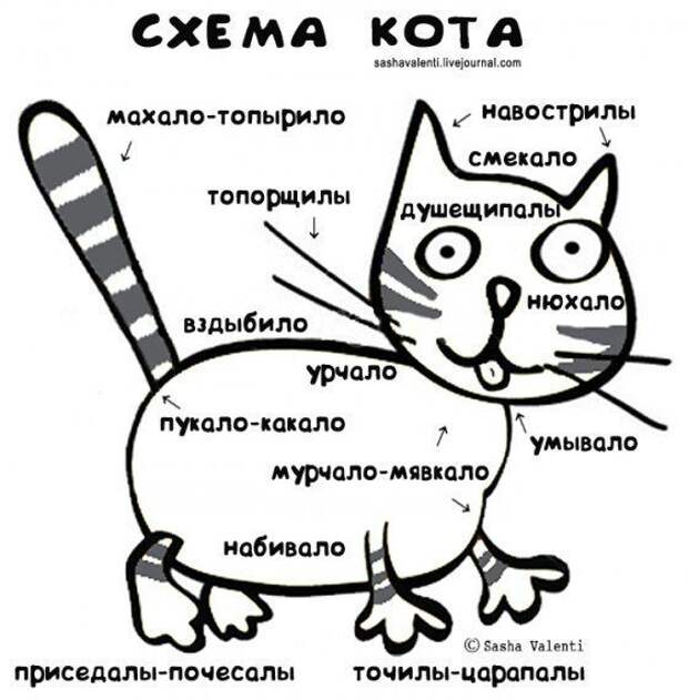 Всё в кучу 26