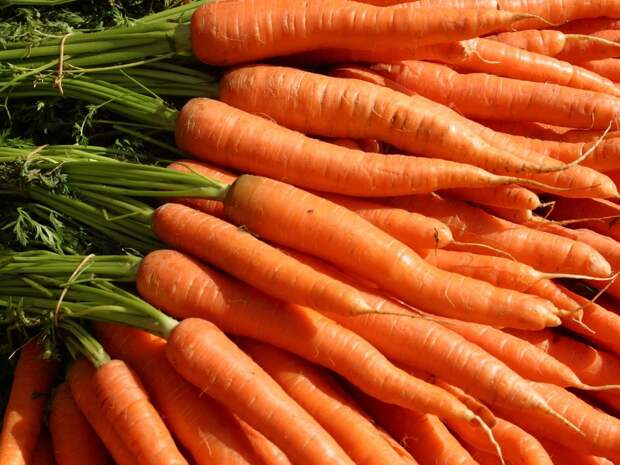 5 салатов из моркови, которые украсят любой стол