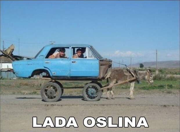 1452505306_fotomemy-12