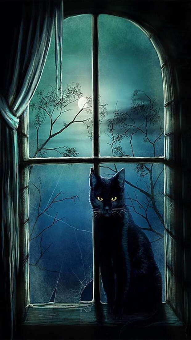 Картинки по запросу призрачный кот на окне
