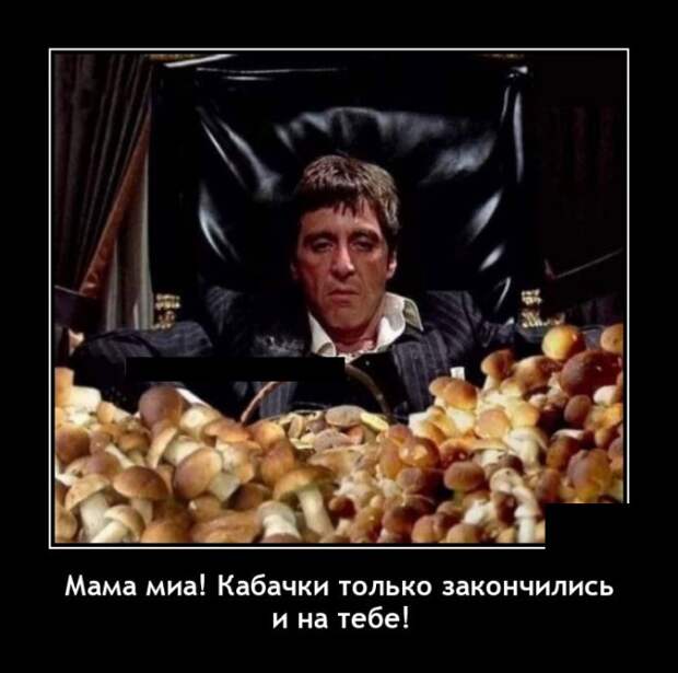 Демотиваторы 4 октября 2021 года