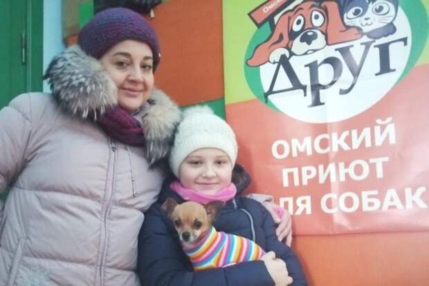 У торгового центра дрожал крошка той-терьер маленькая собака, терьер, той-терьер