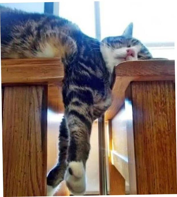 7nVb-fxVQA4 (627x700, 332Kb)