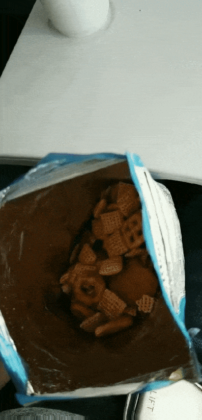 собаки и еда собака попрошайничает